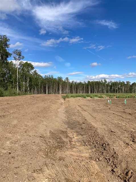 Reestablish Drainage around Leachfield