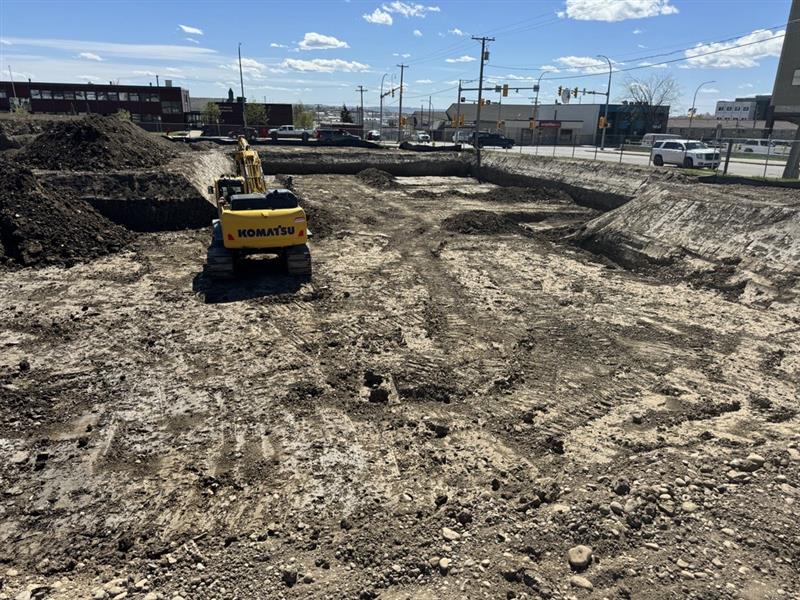 The Harlequin construction site