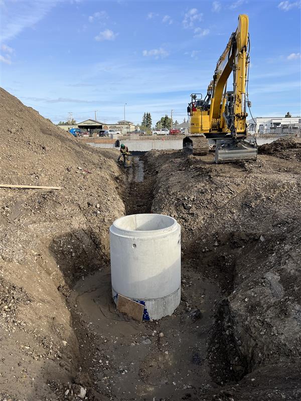 The Harlequin construction site