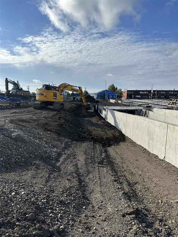 The Harlequin construction site