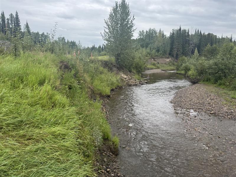 Construction progress 1